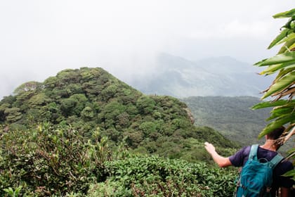 Knuckles and Riverston Trekking Experience