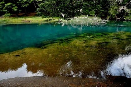 5-Day Private Luxury Trip in Bariloche