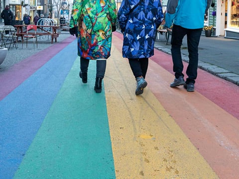 Private Reykjavik LGBTQ+ City Walk, photo 8