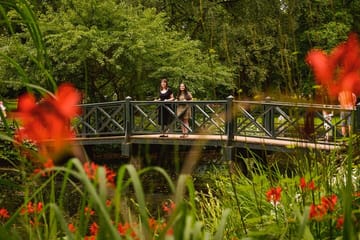 Professional Photo Shoot Tour in Liverpool