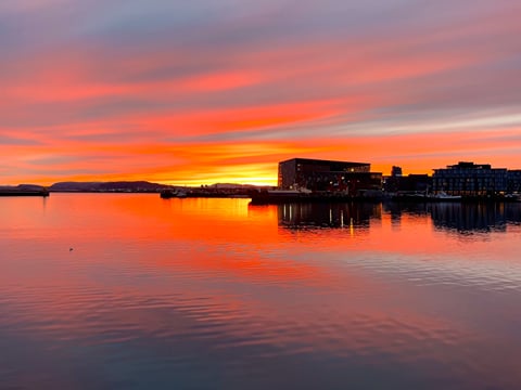 Reykjavík Premium Whales in the Midnight Sun, photo 24