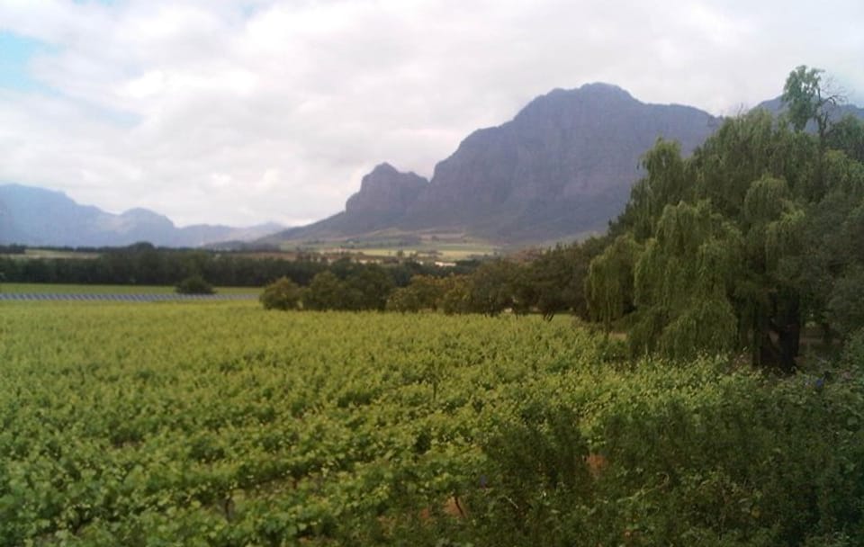 Private Wine Tasting Tour in Cape Winelands from Cape Town