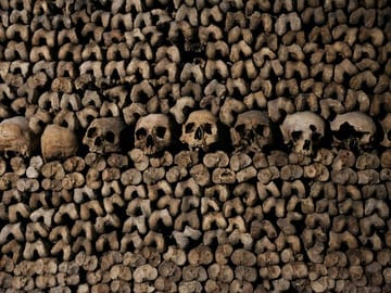 Explore the Catacombs of Paris on a Guided Day Tour