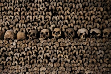 Explore the Catacombs of Paris on a Guided Day Tour