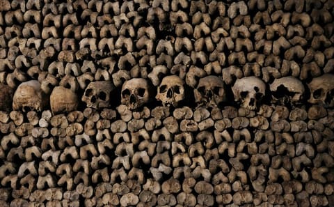 Explore the Catacombs of Paris on a Guided Day Tour
