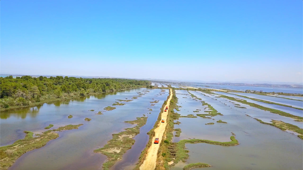 Jeep Safari & Bird Watching 5