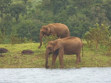 Cochin to Thekkady and Alleppey 4-Day Nature Tour