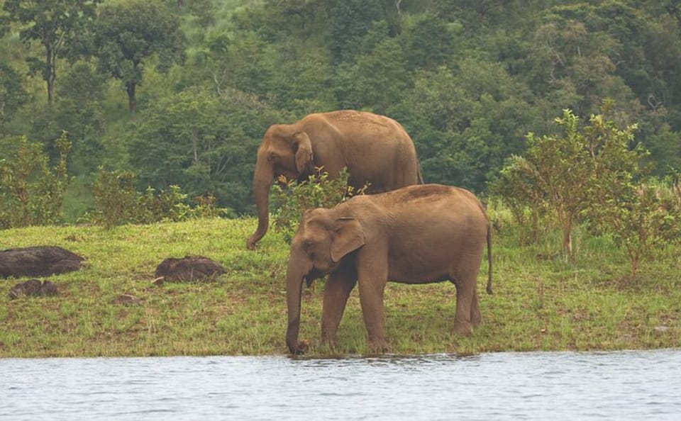 Cochin to Thekkady and Alleppey 4-Day Nature Tour
