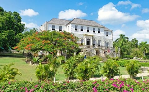 Luminous Lagoon Tour with Stops in Falmouth and Montego Bay