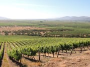 Travel in a hot air balloon and  good wine in Casablanca valley 3
