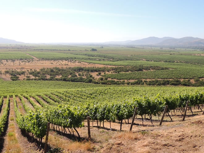 Travel in a hot air balloon and  good wine in Casablanca valley 3