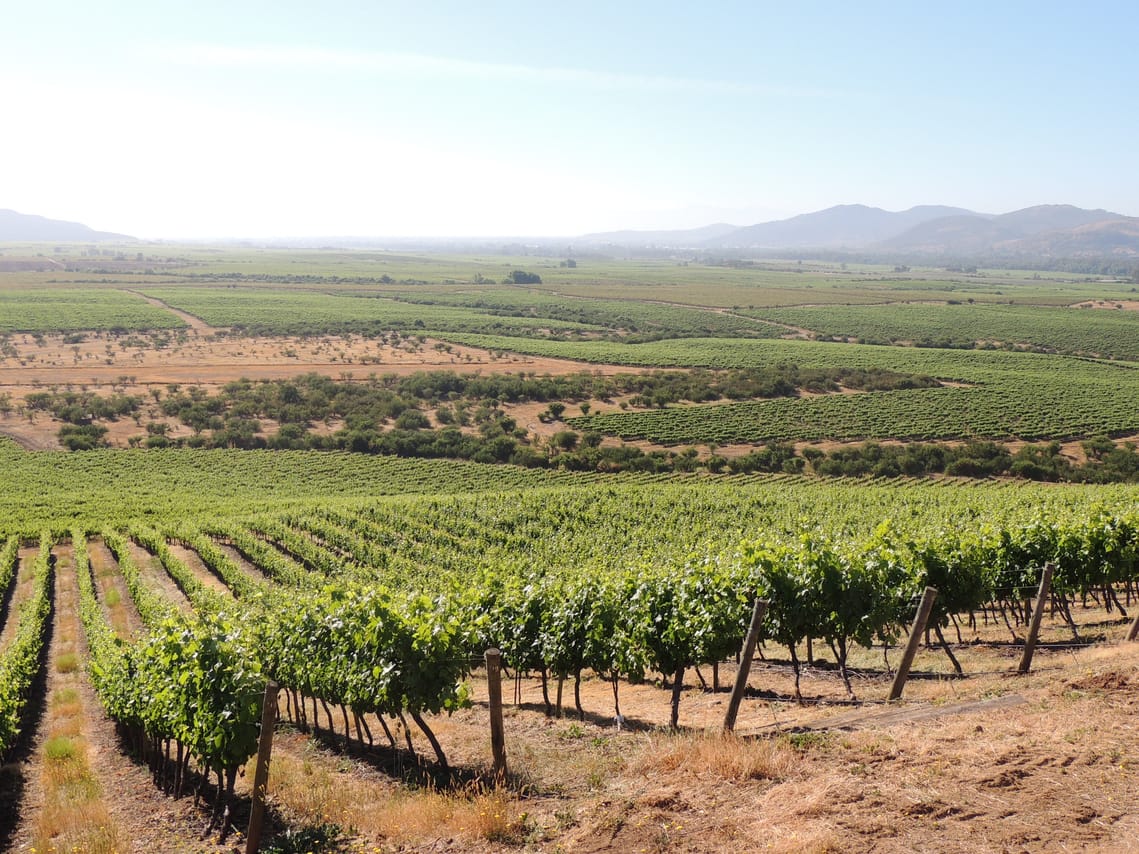 Travel in a hot air balloon and  good wine in Casablanca valley 3
