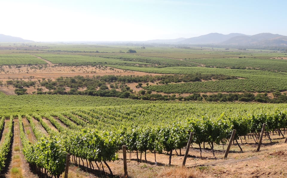 Hot Air Balloon Ride and Wine Tasting in Casablanca Valley
