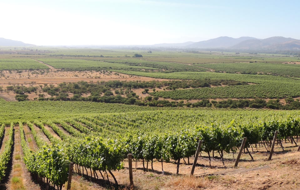 Hot Air Balloon Ride and Wine Tasting in Casablanca Valley