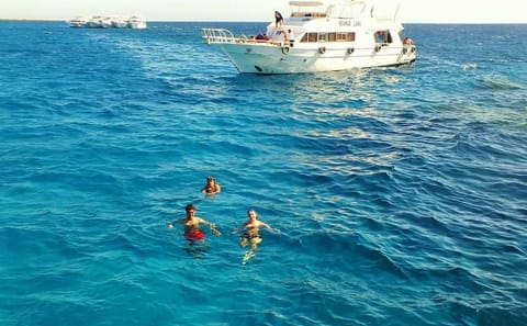 Snorkeling Adventure in Ras Mohammed National Park, Sharm El Sheikh