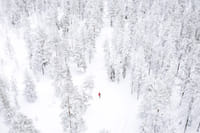 Winter wonderland in Lapland