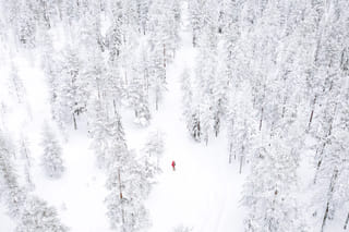 Holiday Package: Four White Days in Lapland