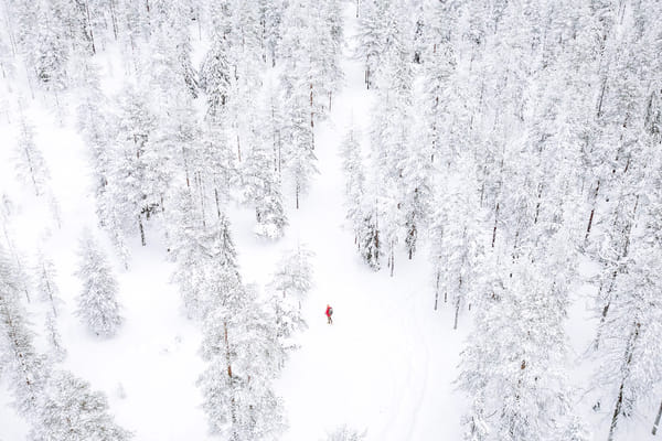 Holiday Package: Four White Days in Lapland