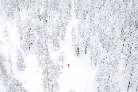 Holiday Package: Four White Days in Lapland