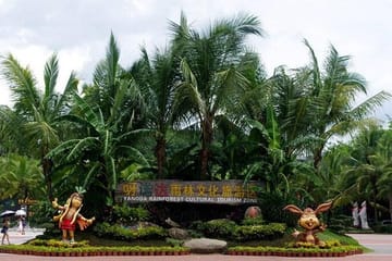 Yanoda Rainforest and Glass Skywalk Day Tour in Sanya