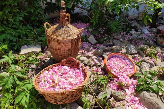 Rose Jam Workshop and Leavening of Authentic Yoghurt in a Traditional House in Karlovo