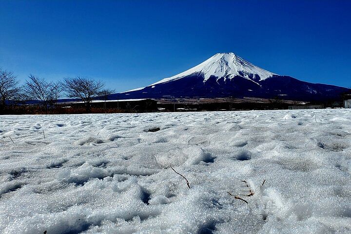 Full Day Private Guided Tour Mt. Fuji and Hakone