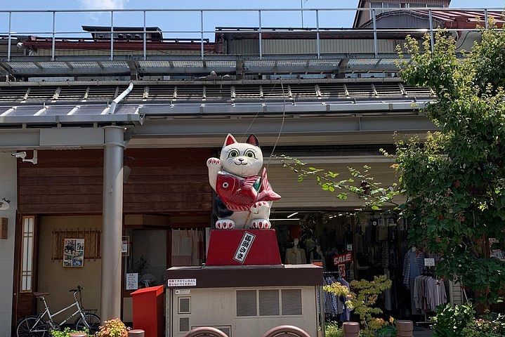 Takayama oldtownship walking tour with local guide. (About 45min)