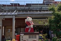 【Online】Takayama: Edo-Period Old Town Walking Tour 4