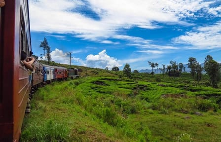 Two-Day Scenic Train and Car Tour in Nuwara Eliya, Sri Lanka