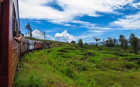 Two-Day Scenic Train and Car Tour in Nuwara Eliya, Sri Lanka