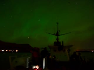 Reykjavík Whales & Northern Lights, photo 17