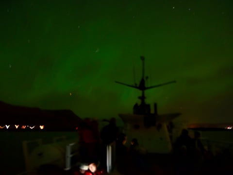 Reykjavík Whales & Northern Lights, photo 17