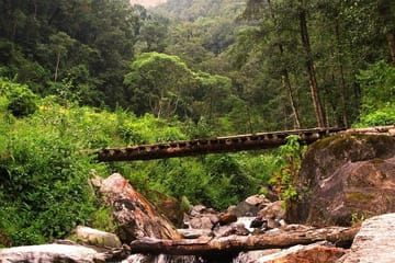 4-Day Annapurna Trip Including Ghandruk Village Trek