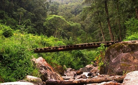 4-Day Annapurna Trek and Adventure Tour in Ghandruk