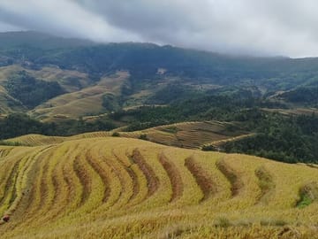 Dazhai Rice Terraces
