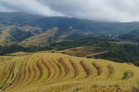 Longji Rice Terraces with Dazhai and Pingan Rice Terraces Tour 