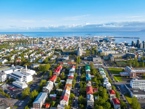 Reykjavik Hotels and Cruise Port: Private Transfer, photo 4