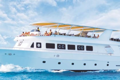 Snorkeling Trip to the Ras Mohamed National Park and White Island by Boat