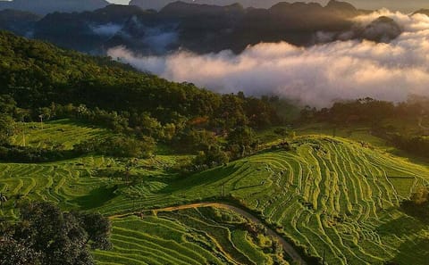 Off-Road Trekking and Waterfall Adventure in Pu Luong from Hanoi