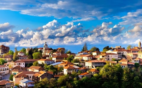 Private Wine Tasting Tour from Tbilisi to Sighnaghi