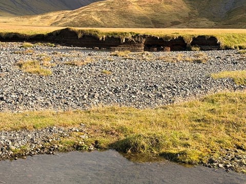 Snæfellsnes Peninsula Private Guided Tour, photo 19