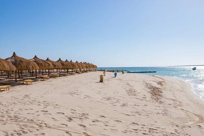 Private Speed Boat to Hula Hula Island Amazing Day - Hurghada