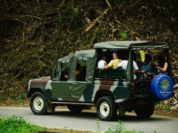 Jeep