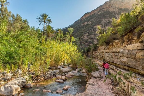 Paradise valley Half Day Experience from Taghazoute