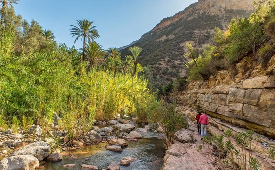Half-Day Paradise Valley Tour in Agadir, Morocco