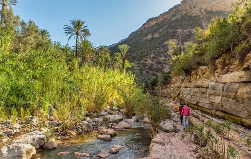 Half-Day Paradise Valley Tour from Agadir