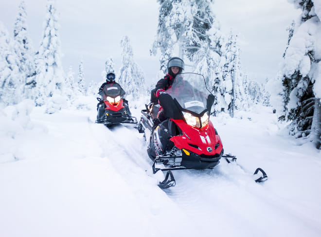 Snowmobile Safari to Reindeer Farm with 1h Reindeer Safari - Rovaniemi photo 3