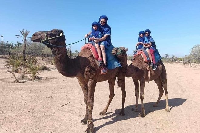 Camel Ride in the Marrakech Palm Grove 4