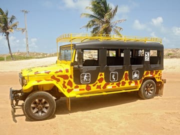 Kite Jeep Tour and Tree Canopy Adventure in Praia da Pipa