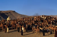 Four Valleys at Atlas Mountains private tour  6